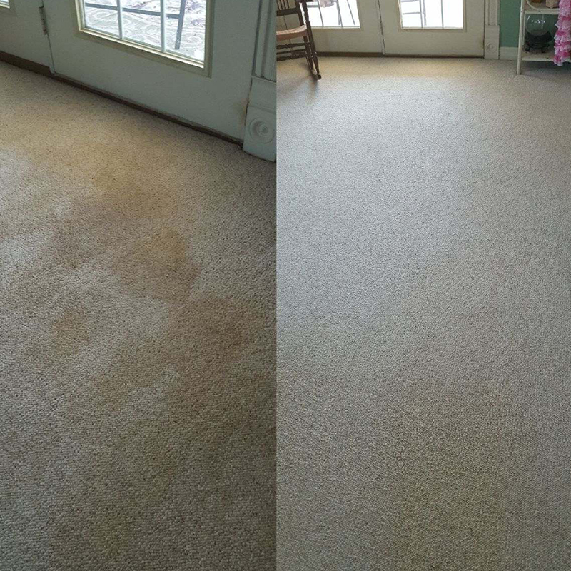 Dynamic Carpet care